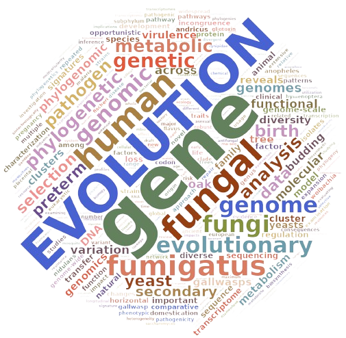 Wordle made from abstracts of articles published between 1999 and 2023