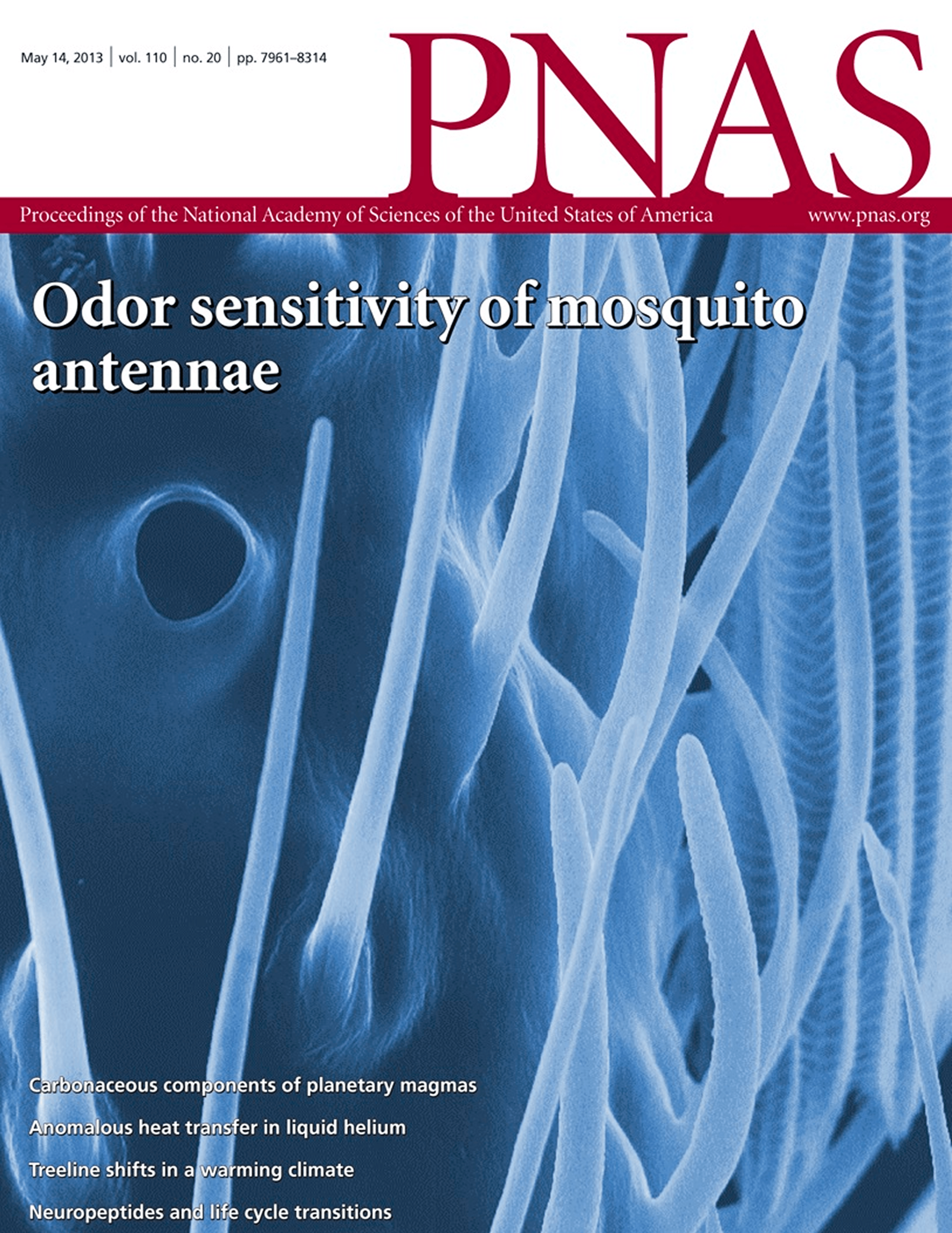 From Rinker et al. (2013)