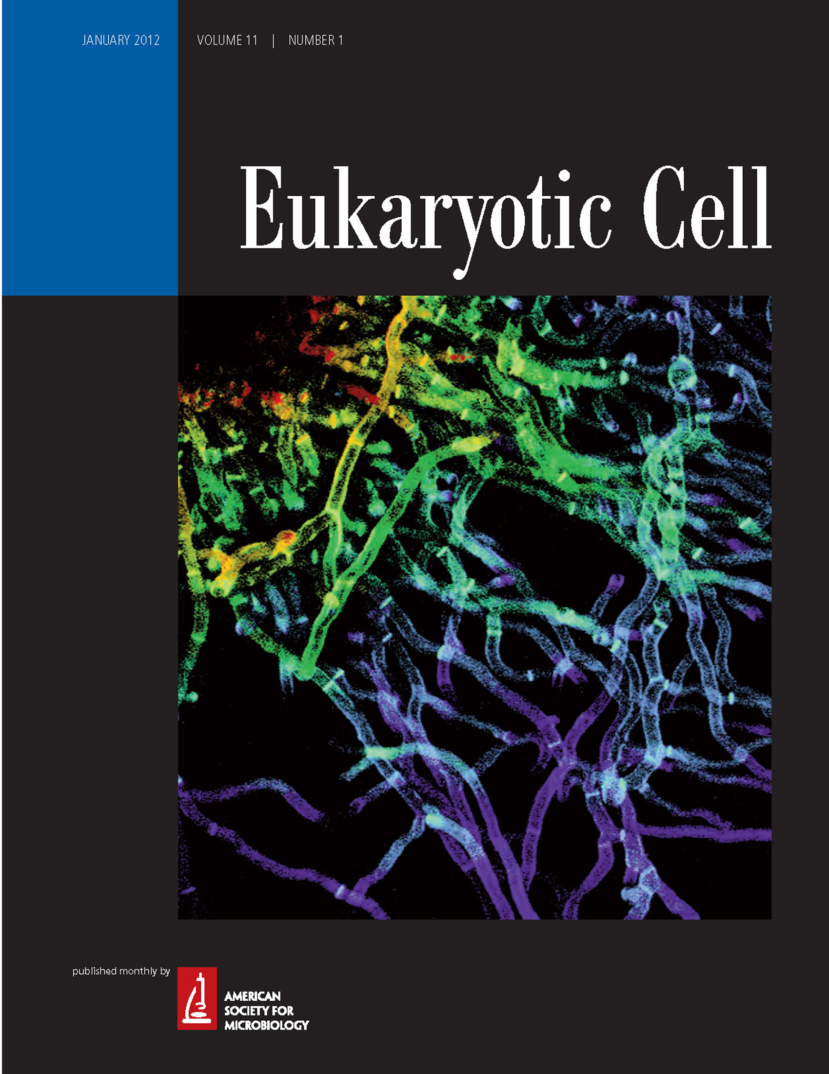 From Gibbons et al. (2012)