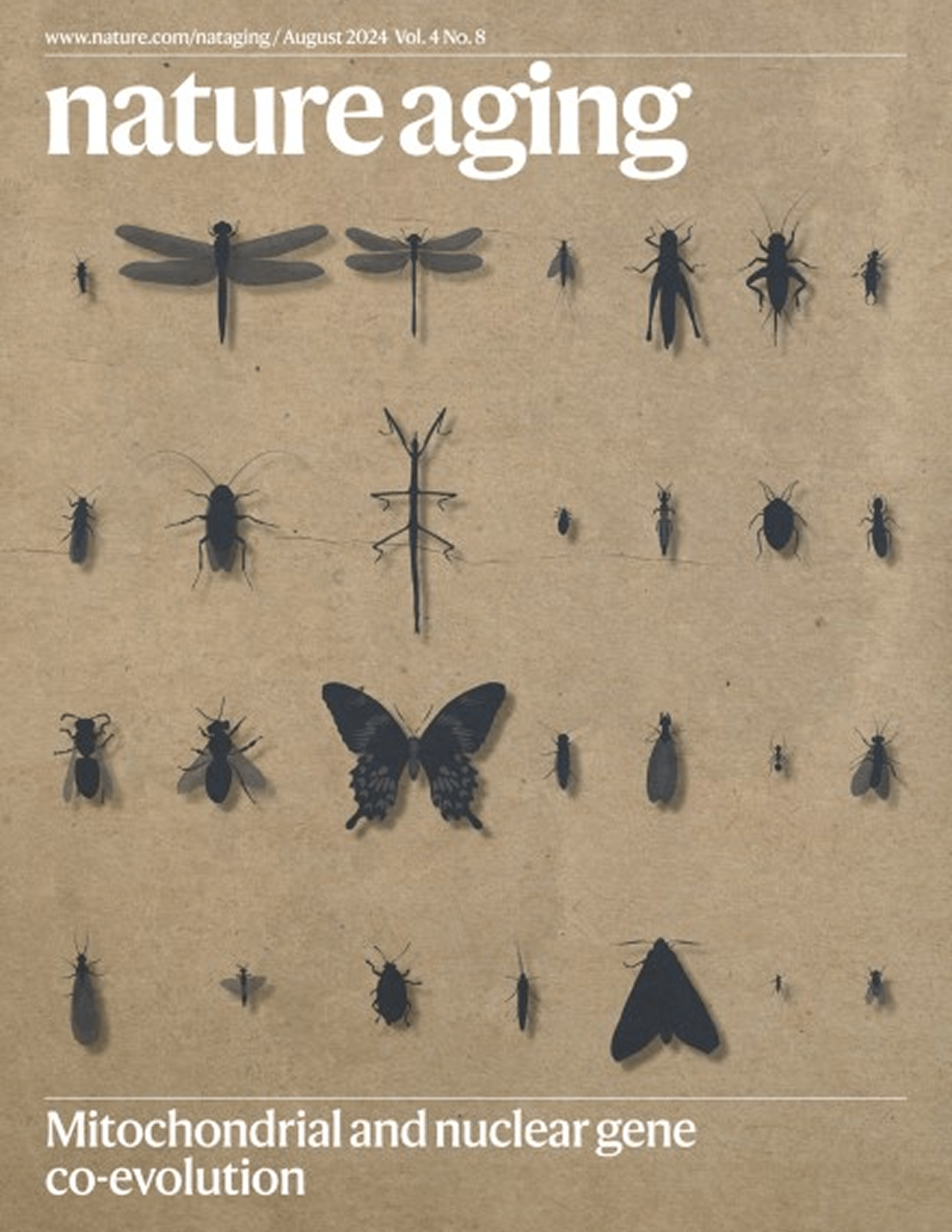  From Tao et al. (2024)