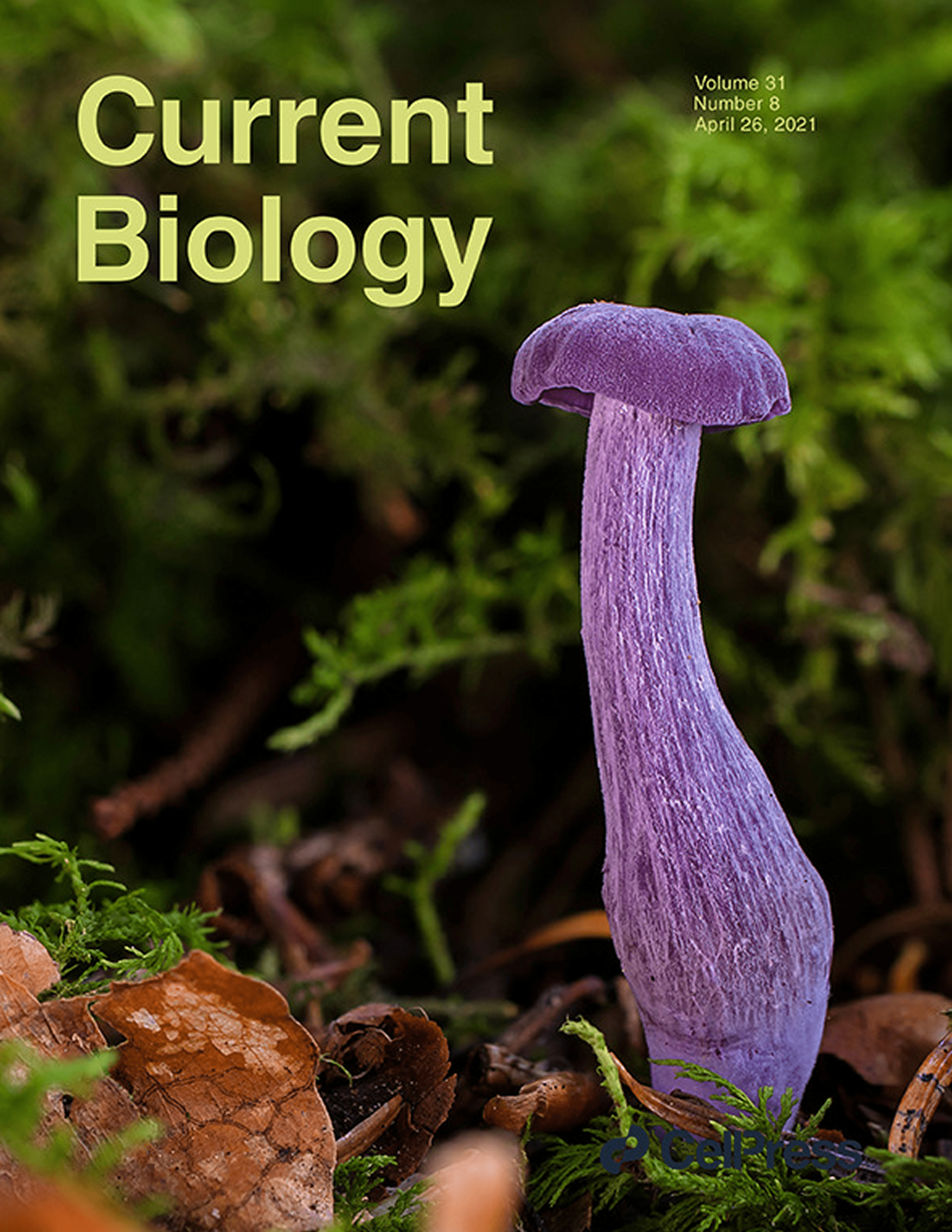  From Li et al. (2021)