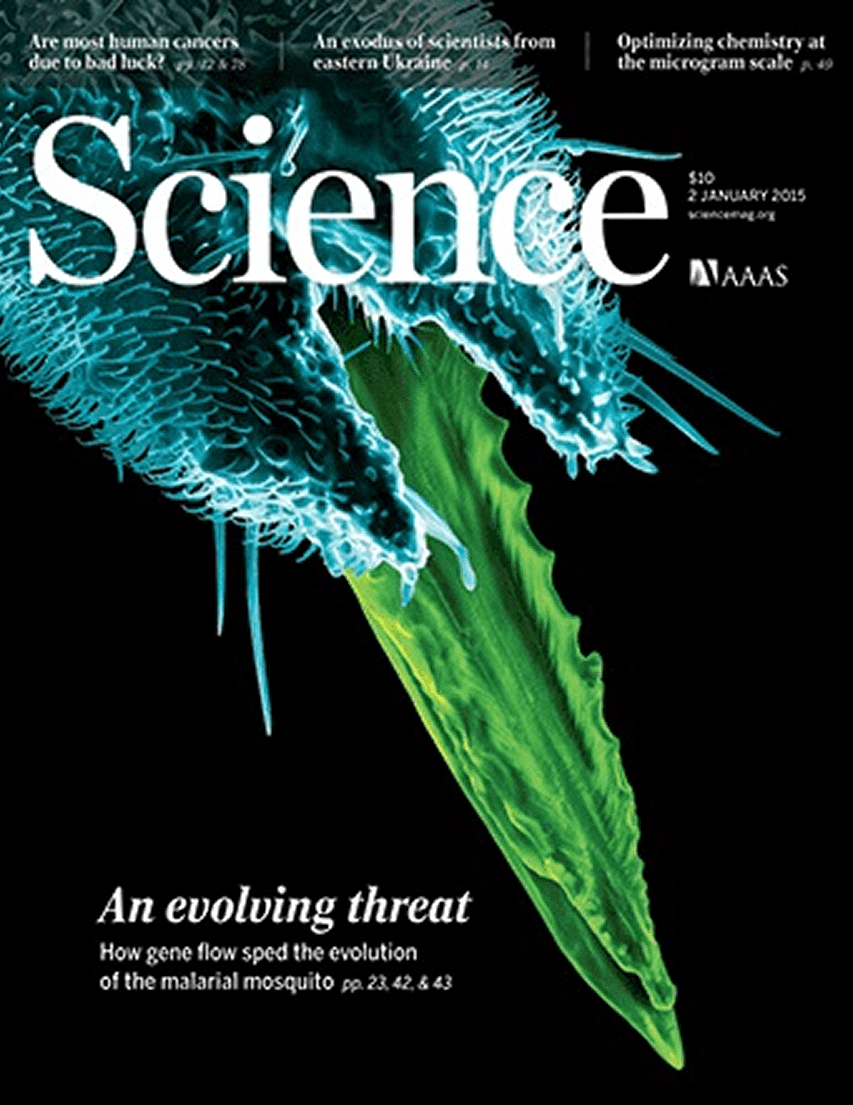 From Neafsey et al. (2015)