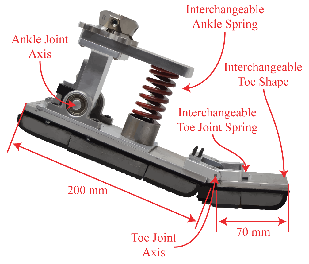 Fig1_Ankle_toe_prosthesis_nobackground